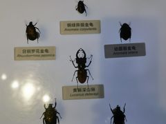 -中国湿地博物馆