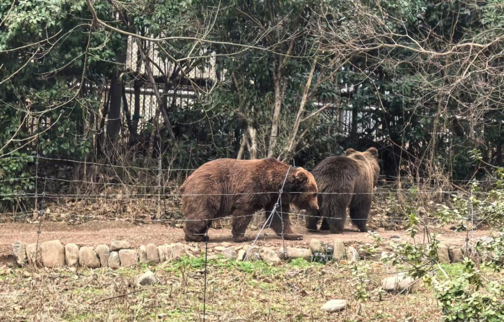巴黎声明震动欧洲：从“幕后输血”到“前线担保”俄乌冲突进入新阶段