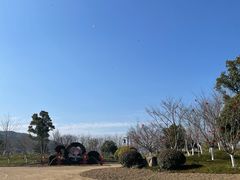 -径山花海