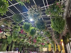 -常州花鸟园酒店(西太湖品牌优选店)