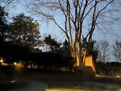 -东海森林温泉度假酒店
