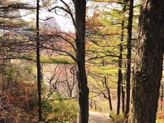 -崂山巨峰游览区