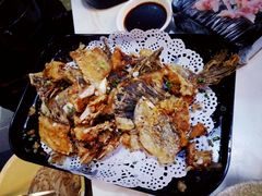 -京门活鱼馆·鱼火锅(百子湾（原红庙）店)