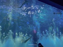 -波塞冬海底世界