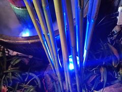 -湘当爱·鲜煮现炒(松岗立业路店)