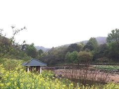 -广州市石门国家森林公园