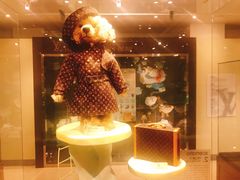 -济州岛泰迪熊博物馆