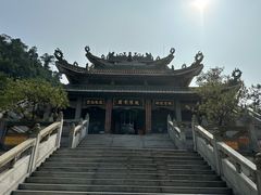-南海湾森林生态园