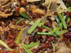 -老板恋上鱼(印象城店)