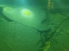 -白鹤梁水下博物馆