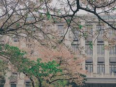 -武汉大学-樱园