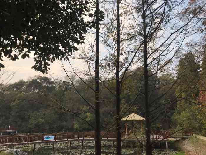 月英花谷-"古隆中景区的一个景点,不知道是不是因为十.