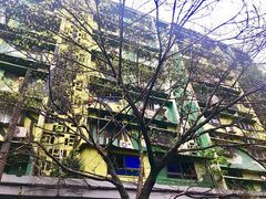 -黄桷坪涂鸦艺术街