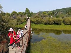 -北极村旅游风景区