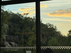 -咖啡厅自助餐厅(贵阳中天凯悦酒店)