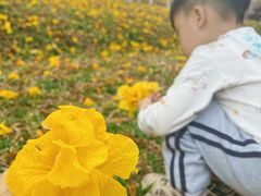 -天河儿童公园