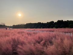 -嘉北郊野公园