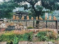 -树山生态村