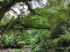 -广州市石门国家森林公园