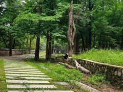 -阳台山自然风景区