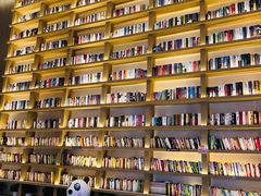-深影国际影城(学院南路店CGS中国巨幕店)