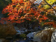 -本溪老边沟风景区