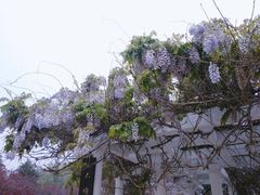 -洛阳市隋唐城遗址植物园