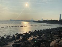 -深圳湾公园(南山区)