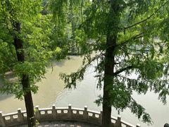 -汇龙潭