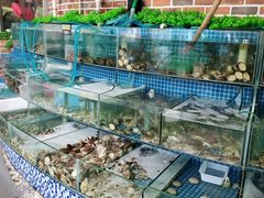 水产区-蟹谢蒸鲜自助餐厅