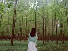-河南省黄河迎宾馆