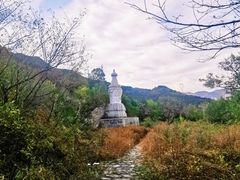 -阳台山自然风景区