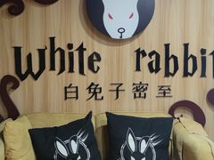 -白兔子密室(长寿路店)