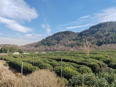-中国茶叶博物馆(双峰馆区)