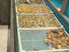 -码头鲜精致威海菜(欧乐坊店)
