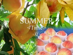 -老袁家蜜桃农场·阳山水蜜桃