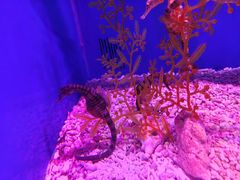 -乌鲁木齐海洋馆