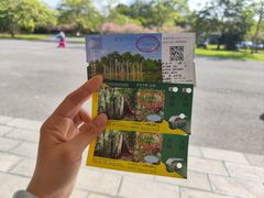-中国科学院西双版纳热带植物园