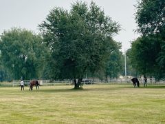 -北京群众马术培训基地