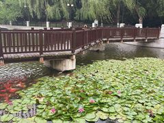 -大连植物园