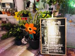 -有猫主题·治愈系猫咖(曾厝垵店)