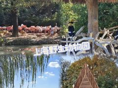 -上海野生动物园