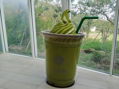-雪绿茶博物馆