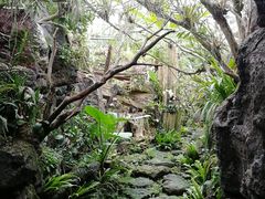 -南通洲际绿博园