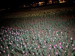 -长春公园(普阳街道)