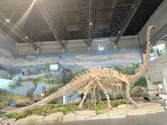 -自贡恐龙博物馆
