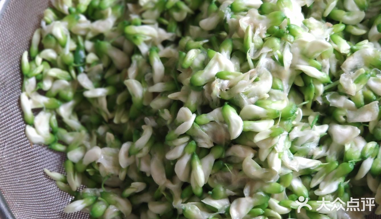 车厘子厨房🍳五月母亲节槐花香饺子🥟