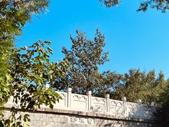 -白水寺森林公园