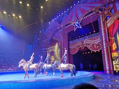 -珠海横琴长隆《卡卡虎奇遇记》