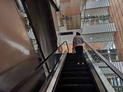 -首都医科大学附属北京潞河医院